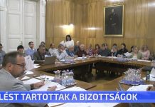 Ülést tartottak a bizottságok