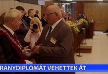 Aranydiplomát vehettek át
