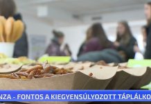 Menza-fontos a kiegyensúlyozott táplálkozás