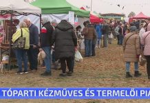 II. Tóparti kézműves és termelői piac