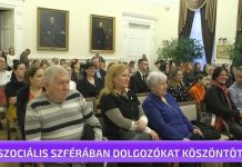 Szociális Munka Napja Cegléden – összefoglaló