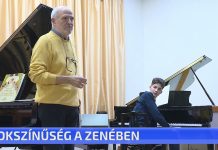 Sokszínűség a zenében