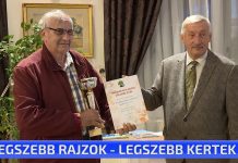 Átadták a díjakat, elismeréseket