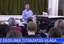 Az érzelmek titokzatos világa