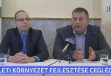 Üzleti környezet fejlesztése Cegléden