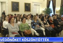 A védőnőket köszöntötték