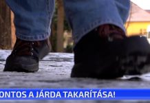 Fontos a járda takarítása