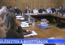 Üléseztek a bizottságok