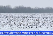 A kártevők több mint fele elpusztulhat