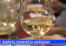 IV. Borfelismerési verseny