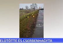 Elütötte és cserbenhagyta