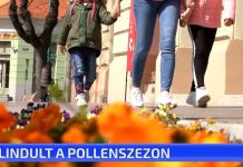 Elindult a pollenszezon