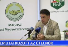 Bemutatkozott az új elnök