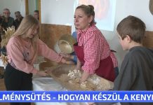 Élménysütés-hogyan készül a kenyér?