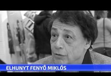 Elhunyt Fenyő Miklós
