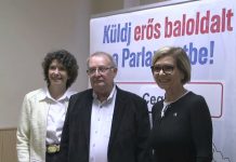 A Demokratikus Koalíció lakossági fóruma Cegléden – összefoglaló