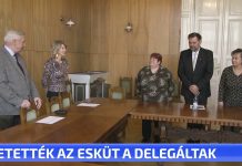 Letették az esküt a delegált tagok