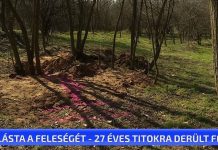 Elásta a feleségét – 27 éves titokra derült fény