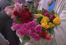 Cegléd Városi Nőnap – összefoglaló