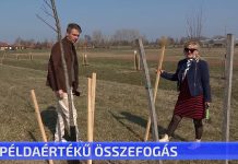 Példaértékű összefogás