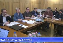 Folytatódhat a faültetés