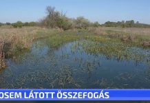 Sosem látott összefogás