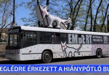 Ceglédre érkezett a Hiánypótló Busz