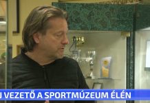 Új vezető a Sportmúzeum élén