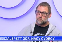 Visszalépett Gór-Nagy György