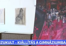 Vizikult- kiállítás a Gimnáziumban