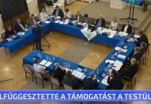 Felfüggesztette a támogatást a testület